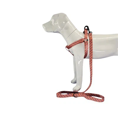 It uchun geometrik jabduqlar