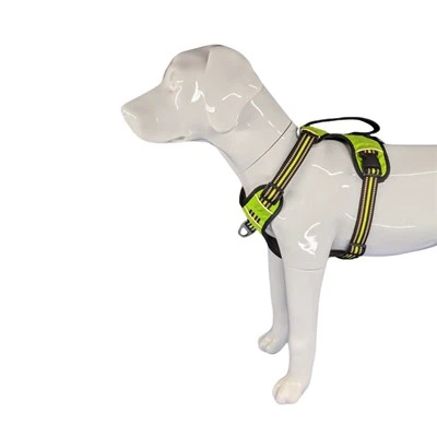 Taktik katta itlar uchun jabduqlar